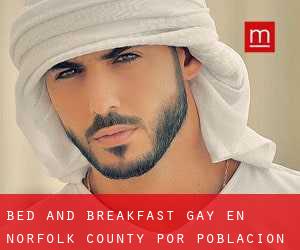 Bed and Breakfast Gay en Norfolk County por población - página 1