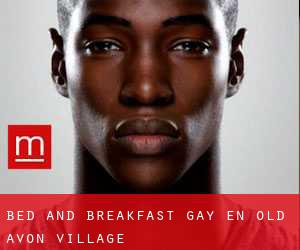 Bed and Breakfast Gay en Old Avon Village