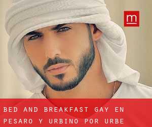 Bed and Breakfast Gay en Pesaro y Urbino por urbe - página 1