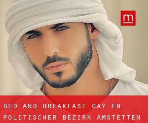 Bed and Breakfast Gay en Politischer Bezirk Amstetten