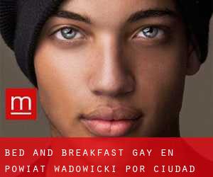 Bed and Breakfast Gay en Powiat wadowicki por ciudad - página 1