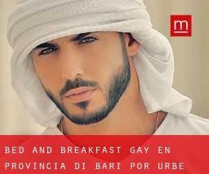 Bed and Breakfast Gay en Provincia di Bari por urbe - página 1