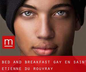 Bed and Breakfast Gay en Saint-Étienne-du-Rouvray