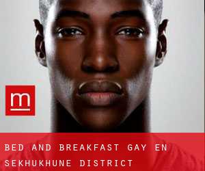 Bed and Breakfast Gay en Sekhukhune District Municipality