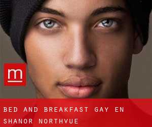 Bed and Breakfast Gay en Shanor-Northvue