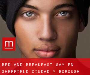 Bed and Breakfast Gay en Sheffield (Ciudad y Borough)