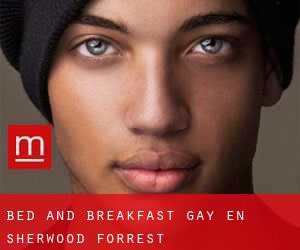 Bed and Breakfast Gay en Sherwood Forrest