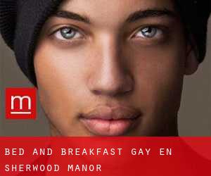 Bed and Breakfast Gay en Sherwood Manor