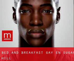 Bed and Breakfast Gay en Sugar Hill
