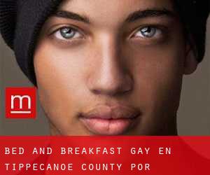 Bed and Breakfast Gay en Tippecanoe County por metropolis - página 1