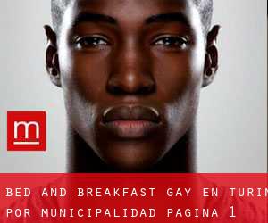 Bed and Breakfast Gay en Turín por municipalidad - página 1