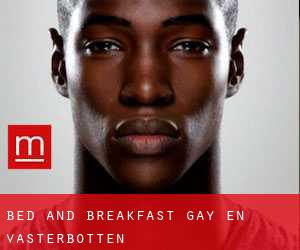 Bed and Breakfast Gay en Västerbotten
