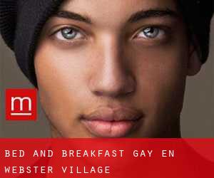 Bed and Breakfast Gay en Webster Village