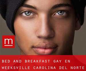 Bed and Breakfast Gay en Weeksville (Carolina del Norte)