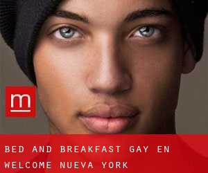 Bed and Breakfast Gay en Welcome (Nueva York)
