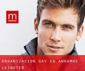 Organización Gay en Annamoe (Leinster)