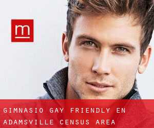 Gimnasio Gay Friendly en Adamsville (census area)
