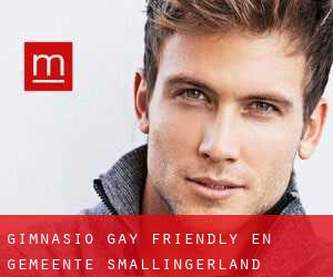 Gimnasio Gay Friendly en Gemeente Smallingerland