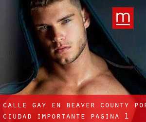 Calle Gay en Beaver County por ciudad importante - página 1