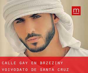 Calle Gay en Brzeziny (Voivodato de Santa Cruz)