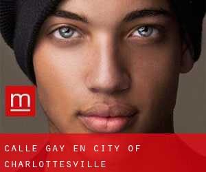 Calle Gay en City of Charlottesville