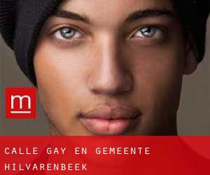 Calle Gay en Gemeente Hilvarenbeek