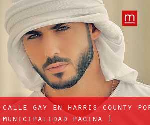 Calle Gay en Harris County por municipalidad - página 1