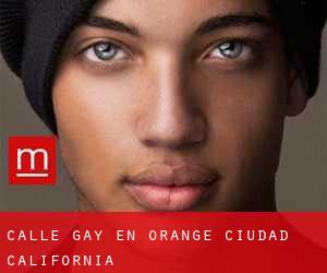 Calle Gay en Orange (Ciudad) (California)