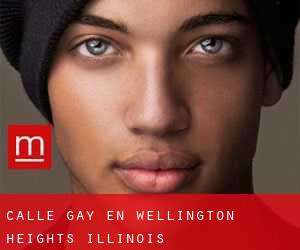 Calle Gay en Wellington Heights (Illinois)