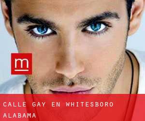 Calle Gay en Whitesboro (Alabama)