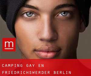 Camping Gay en Friedrichswerder (Berlín)