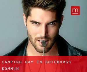 Camping Gay en Göteborgs Kommun