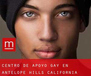 Centro de Apoyo Gay en Antelope Hills (California)