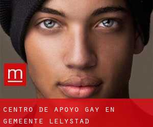 Centro de Apoyo Gay en Gemeente Lelystad