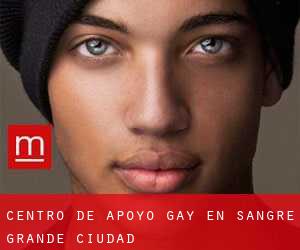 Centro de Apoyo Gay en Sangre Grande (Ciudad)