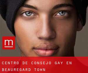 Centro de Consejo Gay en Beauregard Town
