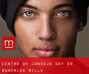 Centro de Consejo Gay en Bohemias Mills