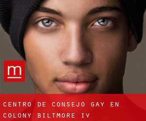 Centro de Consejo Gay en Colony Biltmore IV
