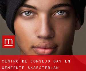 Centro de Consejo Gay en Gemeente Skarsterlân
