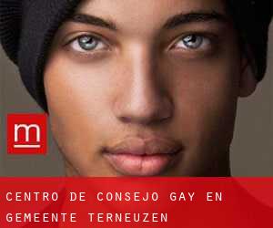 Centro de Consejo Gay en Gemeente Terneuzen