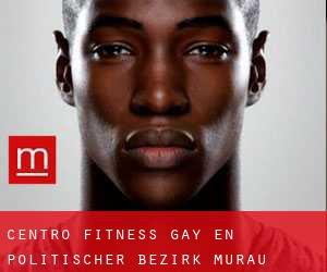 Centro Fitness Gay en Politischer Bezirk Murau