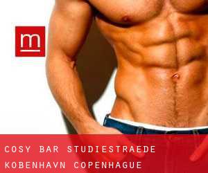 Cosy Bar Studiestræde København (Copenhague)
