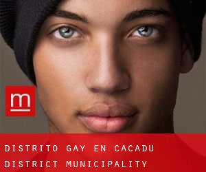Distrito Gay en Cacadu District Municipality