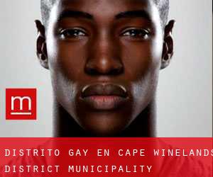 Distrito Gay en Cape Winelands District Municipality