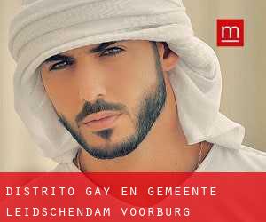 Distrito Gay en Gemeente Leidschendam-Voorburg