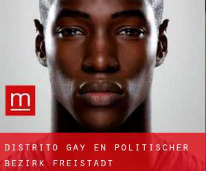 Distrito Gay en Politischer Bezirk Freistadt