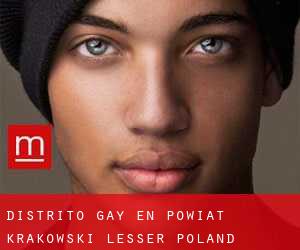 Distrito Gay en Powiat krakowski (Lesser Poland Voivodeship) (Pequeña Polonia)