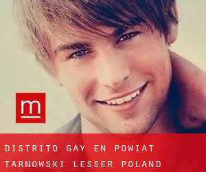 Distrito Gay en Powiat tarnowski (Lesser Poland Voivodeship) (Pequeña Polonia)