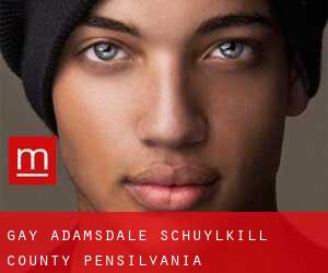 gay Adamsdale (Schuylkill County, Pensilvania)