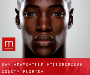 gay Adamsville (Hillsborough County, Florida)